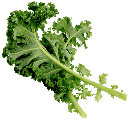 Cabbage kale web max w600