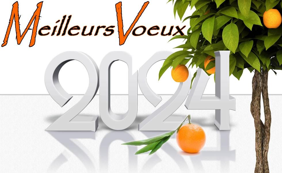 Carte de voeux ecologique 2024 avec citronnier 1