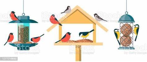 Different types of birds in birdcage vector