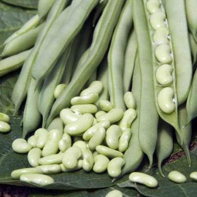 Flageolets BIO 400grs