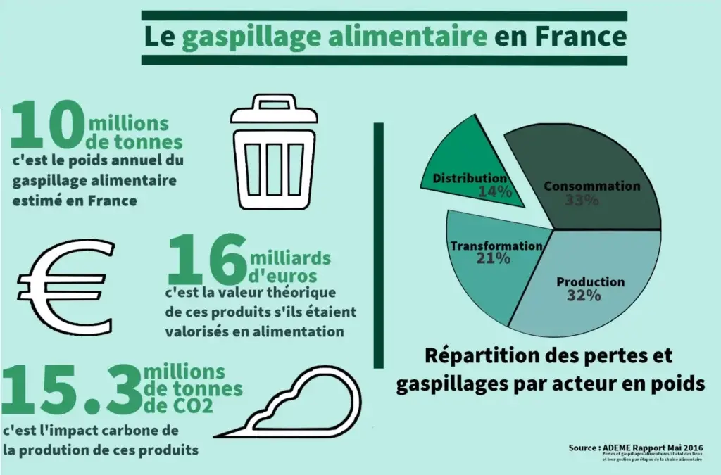 Infographie gaspillage alimentaire horinzontal 1024x675