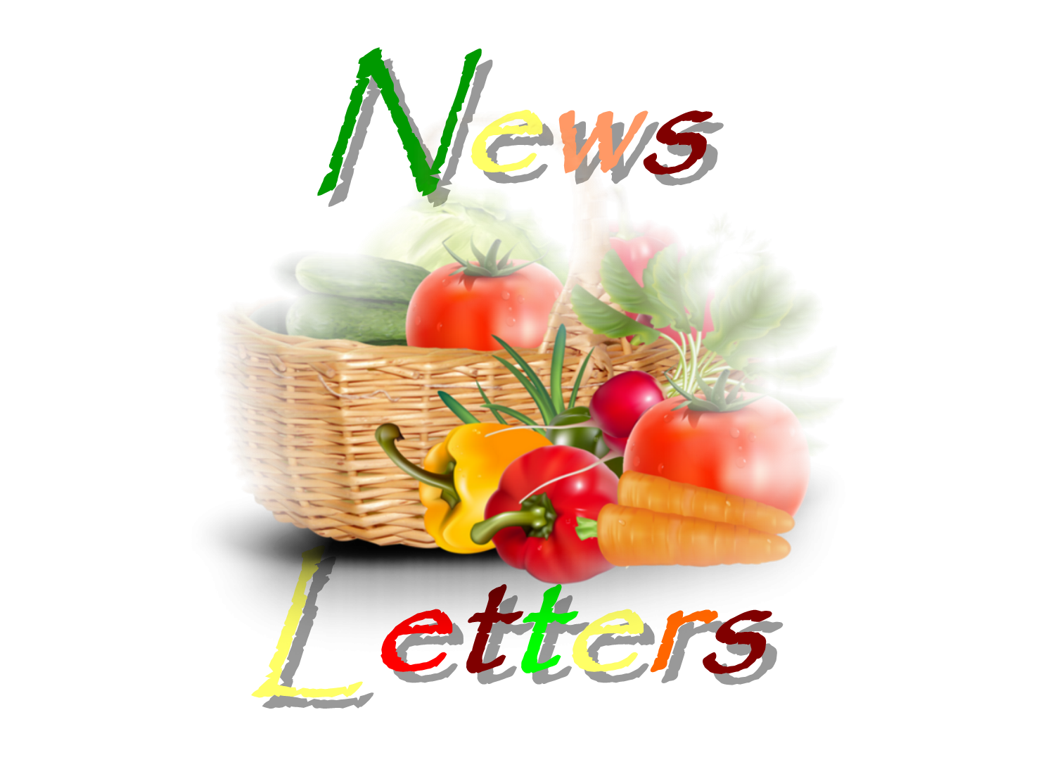 Newsletter #2 - 30 Septembre 2023