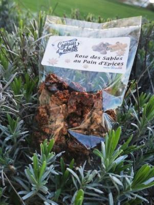 Rose des sables